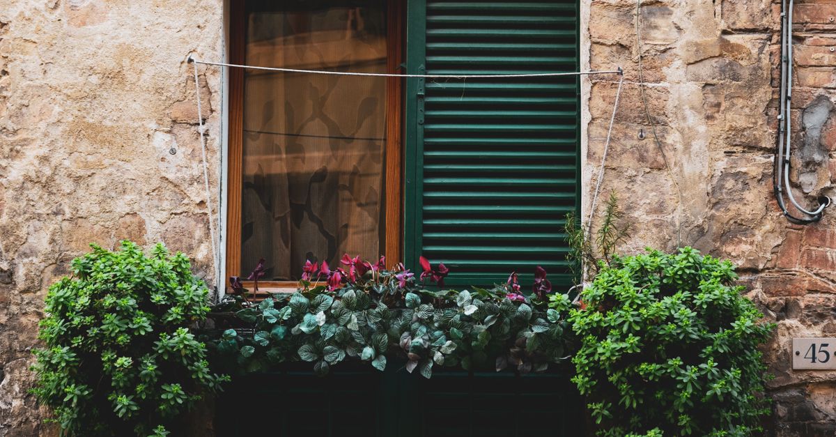 Essential Tools for Installing Plantation Shutters on the Gold Coast