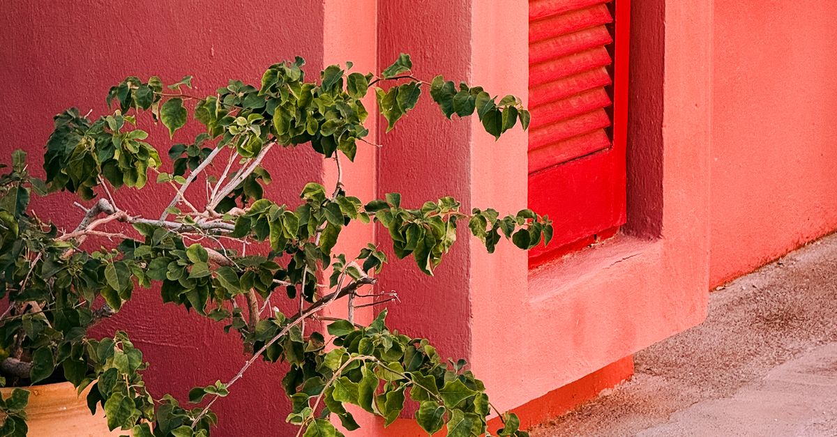 How to Choose Custom Colours for Your Plantation Shutters