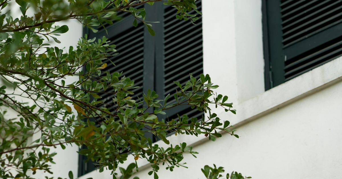 The Science Behind UV Protection Offered by Plantation Shutters
